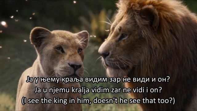 The Lion king - Can you feel thew love tonight (Serbian) Subs & Trans смотреть онлайн