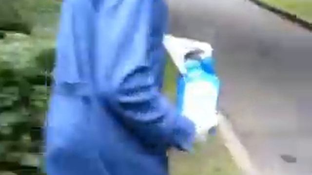 суньворех и мучное чудовище смотреть онлайн