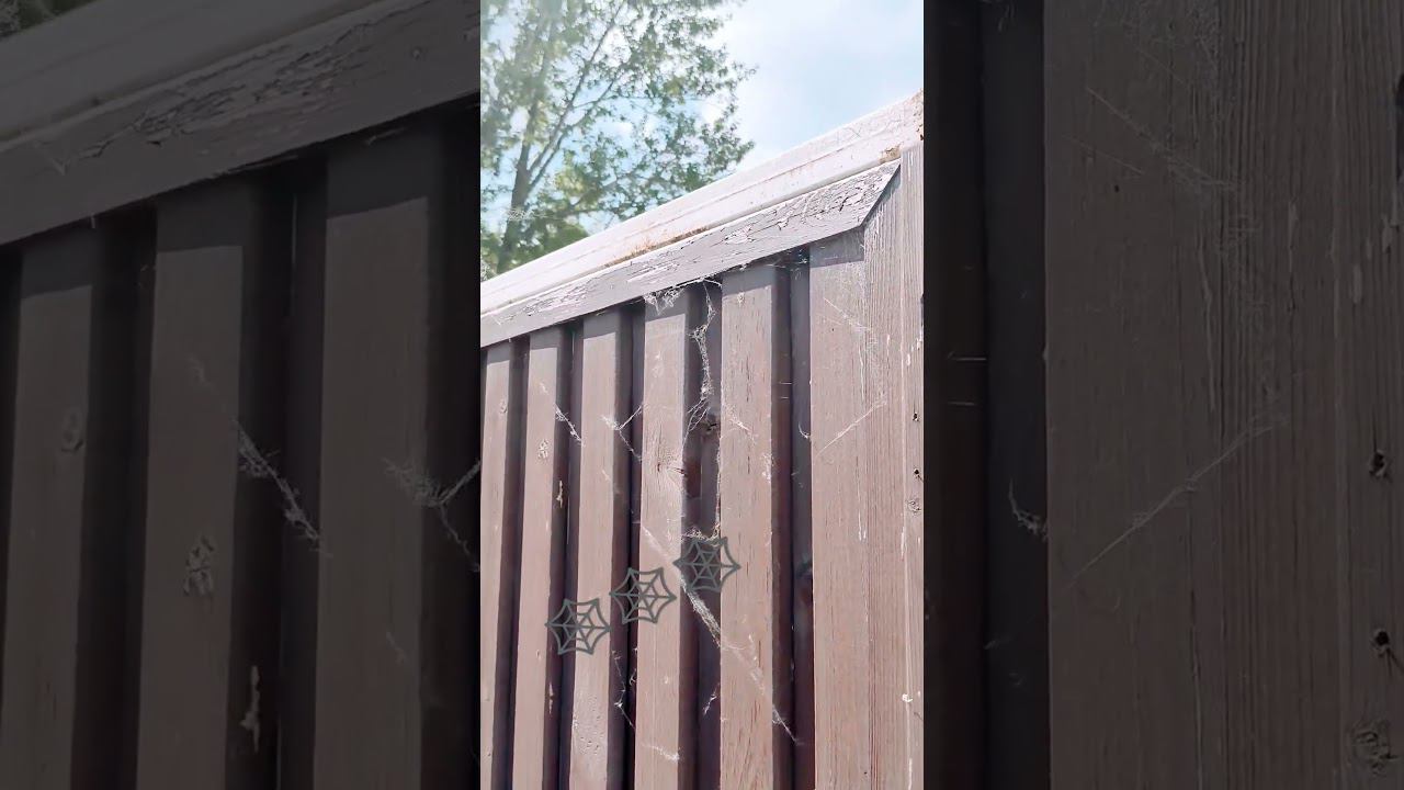 ПАУТИНКА # 2 #паутина #паутинка смотреть онлайн