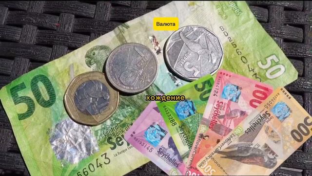 ЧТО НУЖНО ЗНАТЬ ПЕРЕД ПОЕЗДКОЙ НА СЕЙШЕЛЬСКИЕ ОСТРОВА? смотреть онлайн