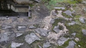 vatravel.ru  Гора Лысуха (Медвежьегорск, Карелия)