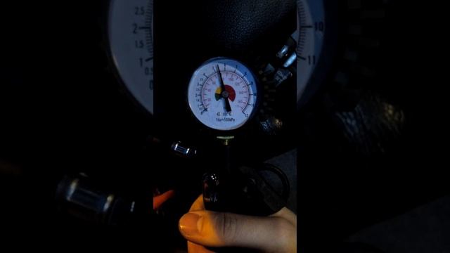 Беркут R17 качает ресивер из ОП5 до 8,5 Bar