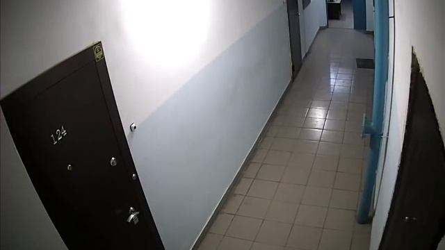 Видеонаблюдение в подъезде. Дверь Часть 3 смотреть онлайн