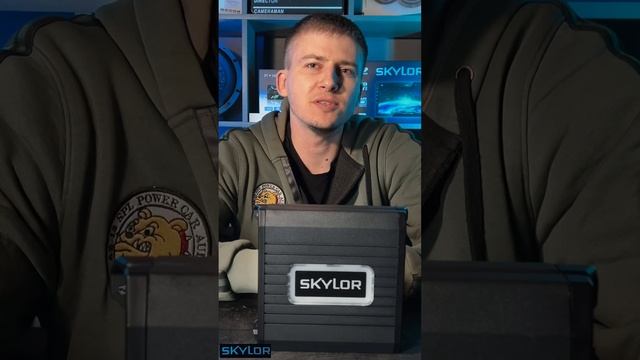 SKYLOR - это разработка И. Макса. смотреть онлайн