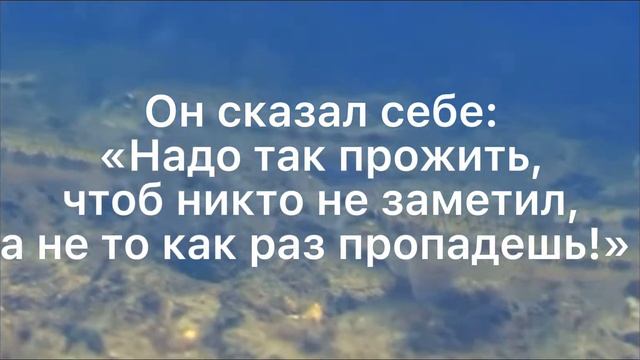 Премудрый пискарь буктрейлер смотреть онлайн