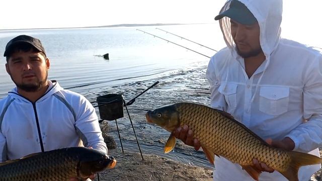 Трофей на 3 кг 500 гр 22 08 2023 г ?? смотреть онлайн