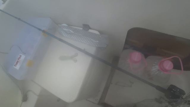 День рыбака/Троллинг симы/Такой клёв бывает редко смотреть онлайн