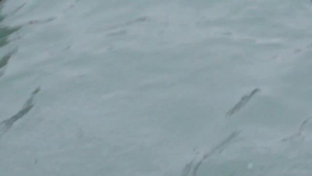 Сочи, морской порт, уточки смотреть онлайн
