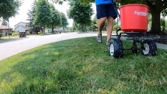 WHEN ARE THE BEST TIMES TO FERTILIZE YOUR LAWN? смотреть онлайн