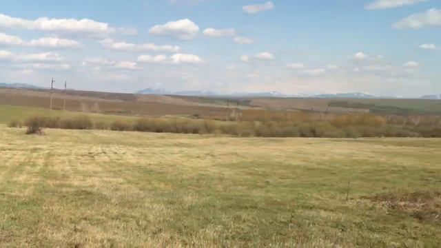 Поле Чудес в стране Казахстан смотреть онлайн