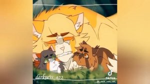 КОТЫ ВОИТЕЛИ | Небольшая подборка из тик тока | 1 часть