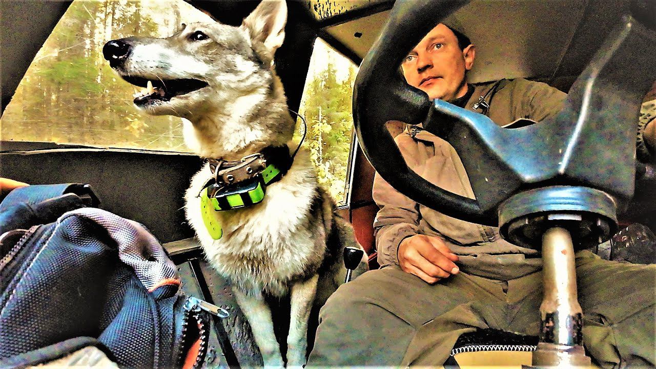 “Тайга” Погода наладилась! Металл идёт пачками! Рельсы, Литой Металл! Серьёзная загрузка в дорогу! смотреть онлайн