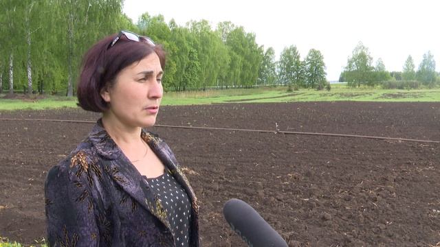 В школах Мамадышского района уроки технологии проводят на свежем воздухе смотреть онлайн