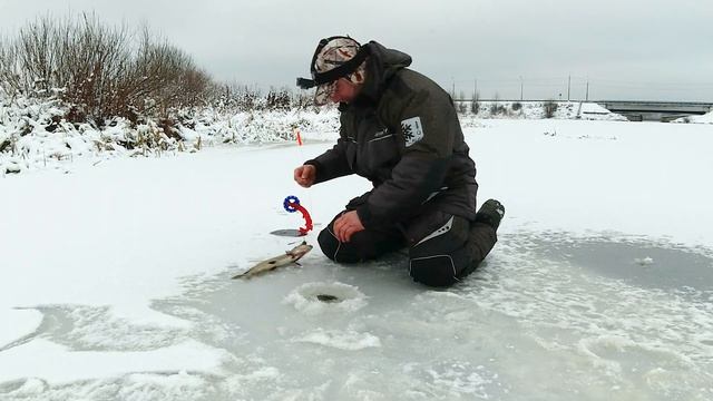 Море Флагов! Трофеи! Рыбалка на жерлицы... на даче! Разве это не МЕЧТА! ЧАСТЬ 1... смотреть онлайн
