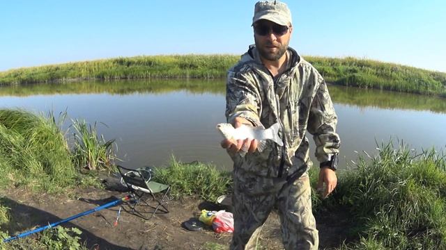 Рыбалка в Казахстане.31.08.2020.Река Нура Сабынды.Крупный карась на удочку смотреть онлайн