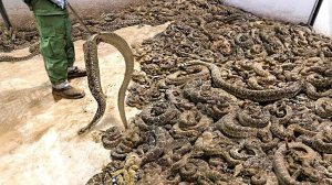 Самые Жуткие Вещи, Найденные в Заброшенных Местах