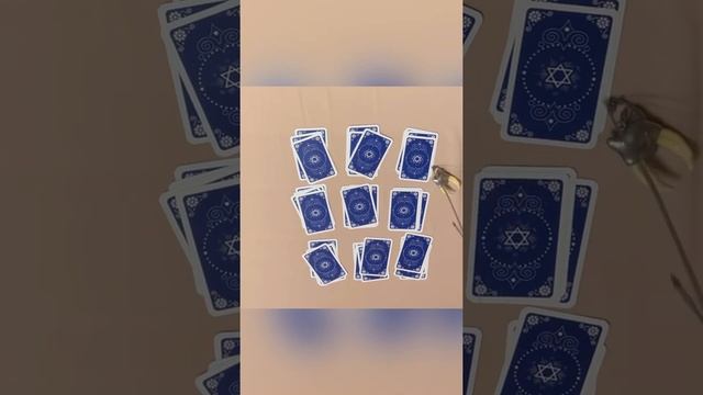 Карта дня и сонник на 01.07 смотреть онлайн