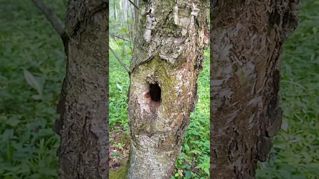 Не подумайте плохо а вы уже подумали, это плохо! (1) смотреть онлайн