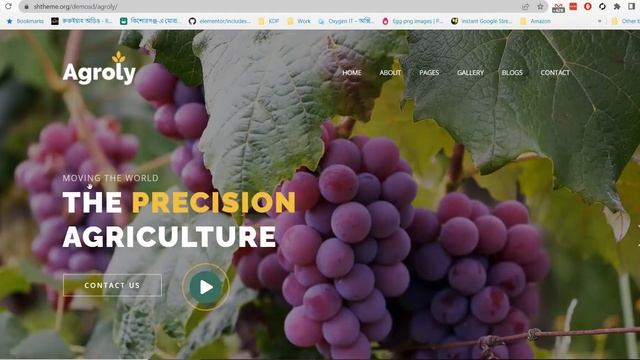 How to Make Agriculture and Firming Website in WordPress? смотреть онлайн