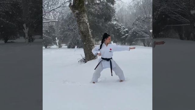 Tekki Shodan JKA kata winter snow challenge смотреть онлайн