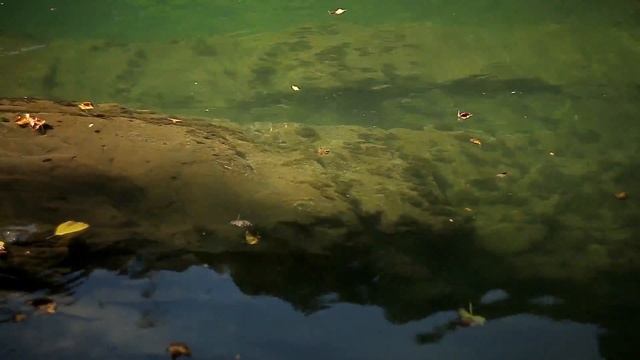 Ореховый водопад, река Сочи смотреть онлайн