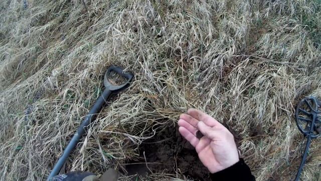 Пережидаем карантин 2020 коп на ближнем поле