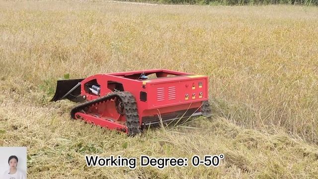 wireless bush trimmer China manufacturer factory supplier wholesaler смотреть онлайн