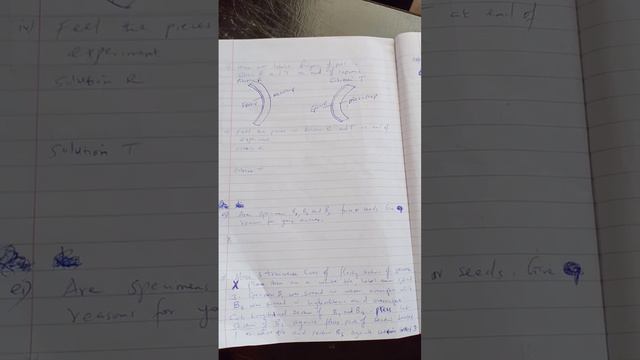 KCSE BIOLOGY PP3 2022... смотреть онлайн