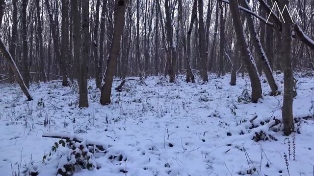 ИСПЫТАНИЯ навигатора Garmin eTrex H смотреть онлайн