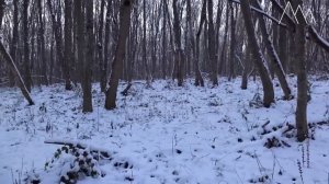 ИСПЫТАНИЯ навигатора Garmin eTrex H