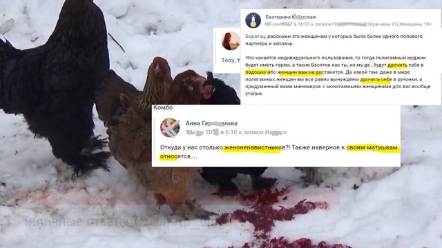 ТП бинго типичные ответы в комментах А также настоящий мужик и разведенка бинго Подборка смотреть онлайн