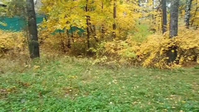 Footage 2, Парк "Серебряный бор" смотреть онлайн