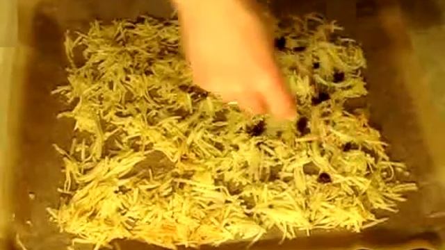 Вкусные рецепты от Дарьи