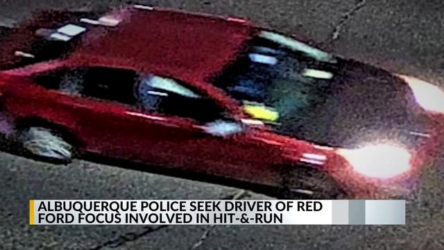 APD searching for driver of red Ford Focus involved in fatal hit-and-run смотреть онлайн