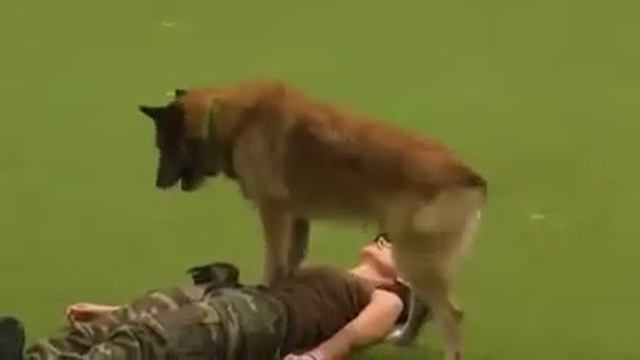 Вот что значит "ТРЕНИРОВКА" смотреть онлайн