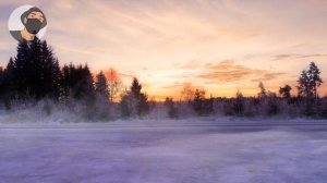 ✔СПОСОБЫ ОХОТЫ НА БЕЛКУ: ОРУЖИЕ И КАЛИБР ДЛЯ БЕЛКОВАНИЯ #охота #животные #полезное #советы