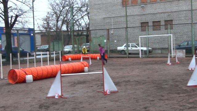 Д-Open 2/3 Large - Чистякова Виктория и австралийская овчарка Хаку смотреть онлайн