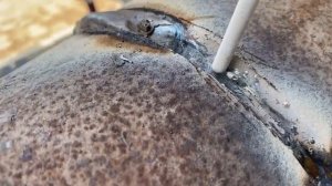 Научитесь сваривать корень и крышку трубы