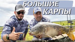 КАК ПОЙМАТЬ КАРПА? Инструкция прилагается