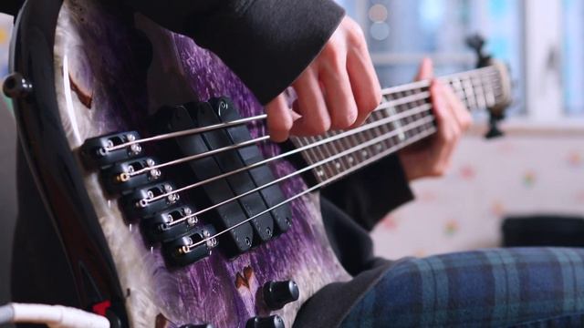 MADKID - RISE ('The Rising of the Shield Hero' OP) | Bass Cover ベース弾いてみた смотреть онлайн