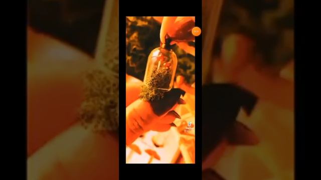 подборка видео из тт~ для травниц /ведьм~🧙♀️✨ смотреть онлайн