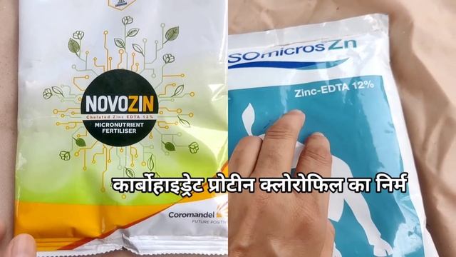 जिंक का सही इस्तेमाल | Role of zinc in plants | Zinc sulphate fertilizer | chelated zinc dose смотреть онлайн
