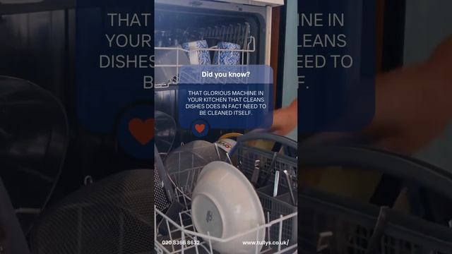 Make to to clean your dishwasher! #installation #DomesticAppliances #GermanAppliances #dishwashers смотреть онлайн