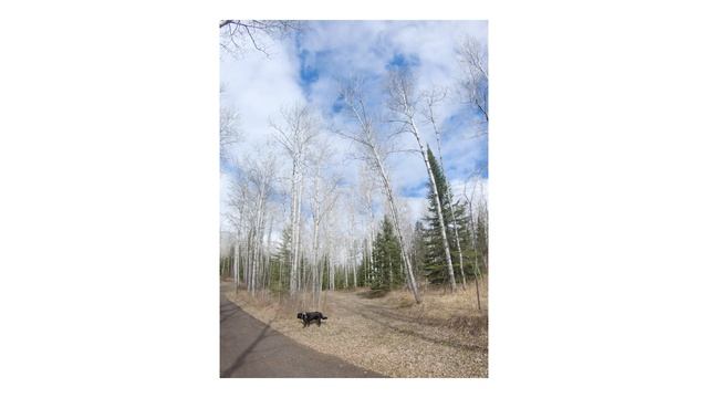 Canon 5D Classic + 85mm 1.8 - POV Photography