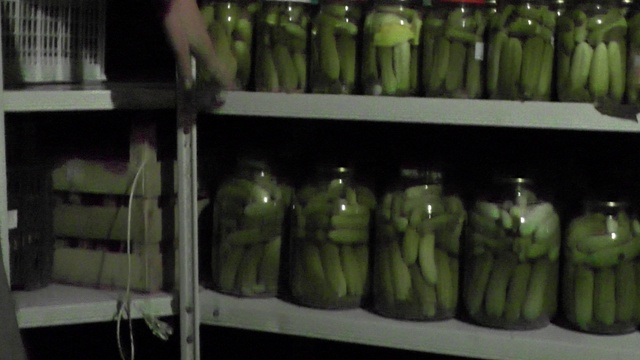 Мой подвал для овощей… 