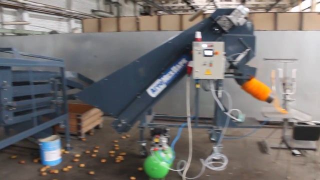 Линия по мойке, сортировке, калибровки, упаковки овощей