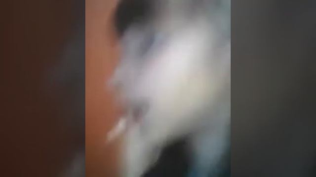 Я пою песню Танцы в моей кровати. смотреть онлайн