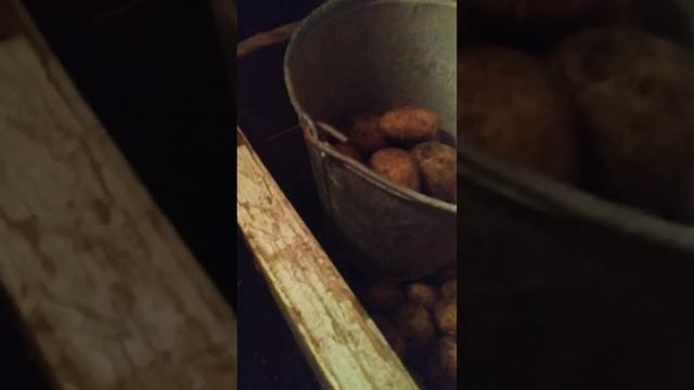 крышка погреба# хранение картофеля#гараж