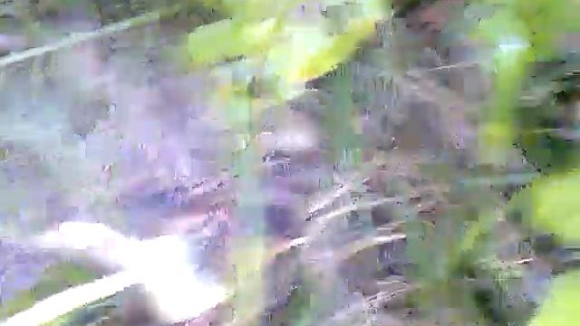 Стройка Челлендж