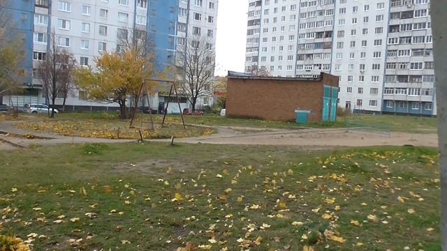 Листопад Листья желтые летят Leaf Leaves yellow fly смотреть онлайн